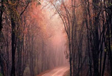 阿根廷新梅西确认离队，他将开启怎样的新征程？